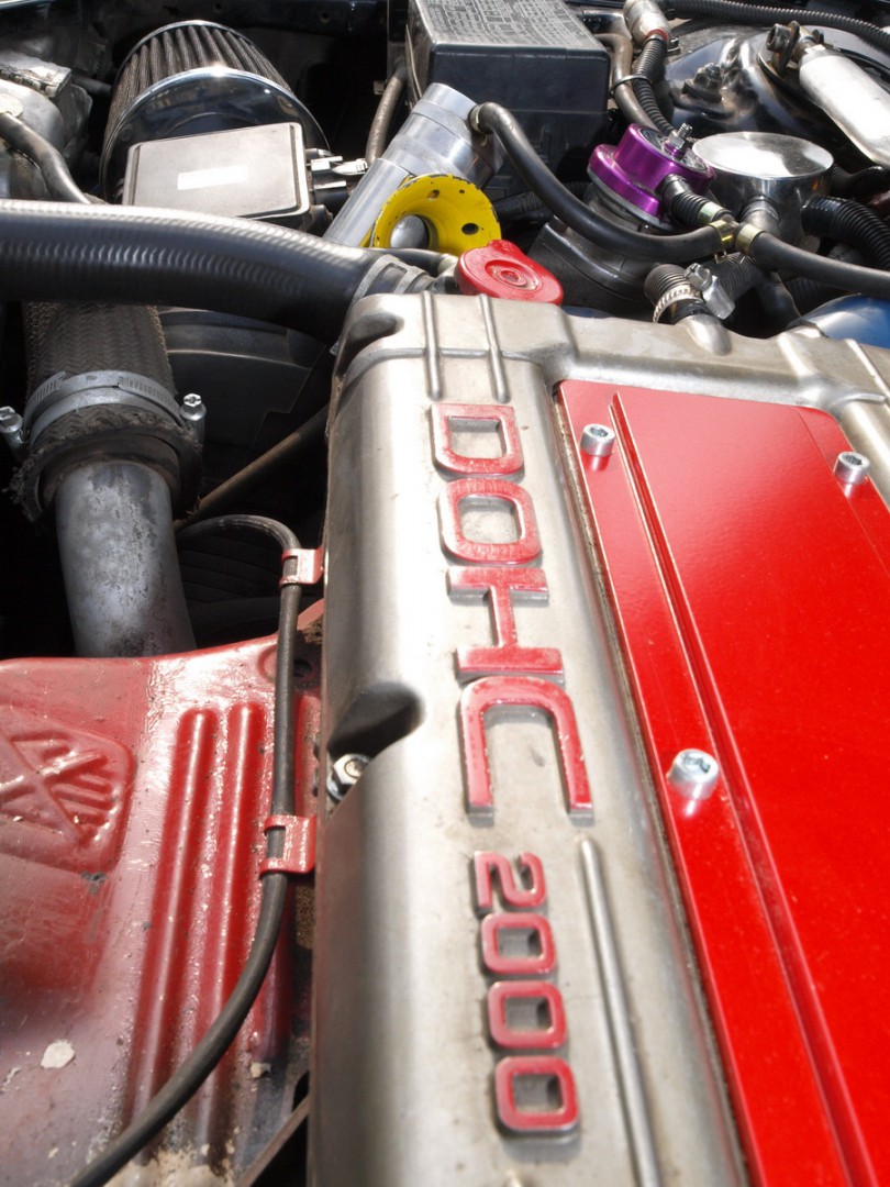 ������ �������� - Torex