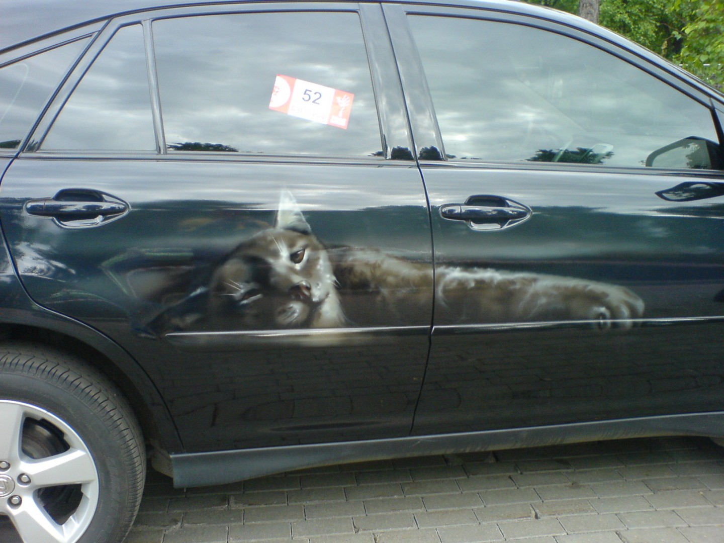 ������� ������� - ���� 2006