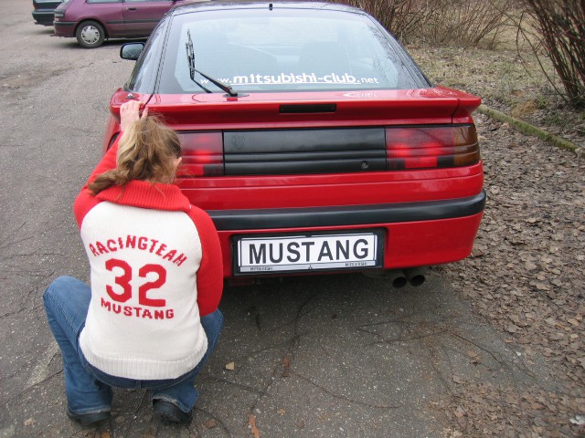 ������ �������� - Mustang