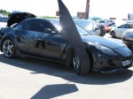 ������� ������� - �������� 2009