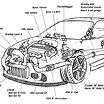 DSM �������