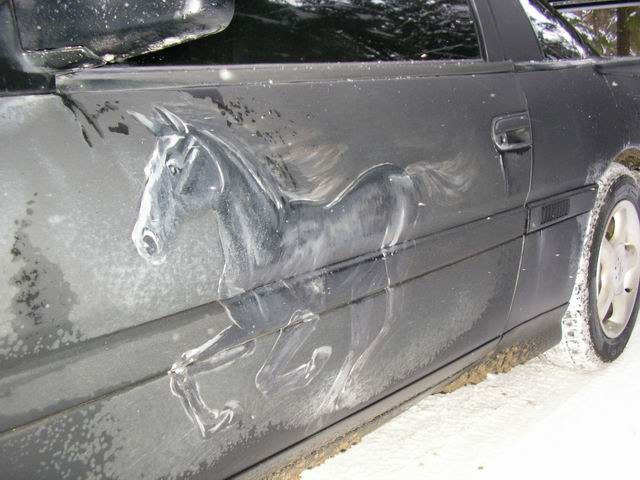 ������ �������� - Mustang