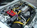 DSM ������� - Pretty White